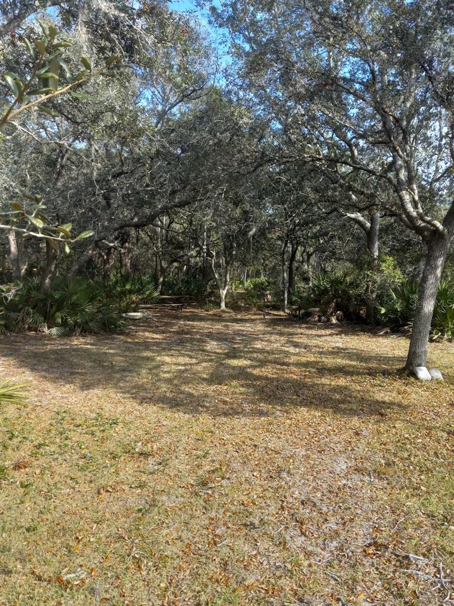 2477 THACKER TRL, KISSIMMEE, FL, 34747