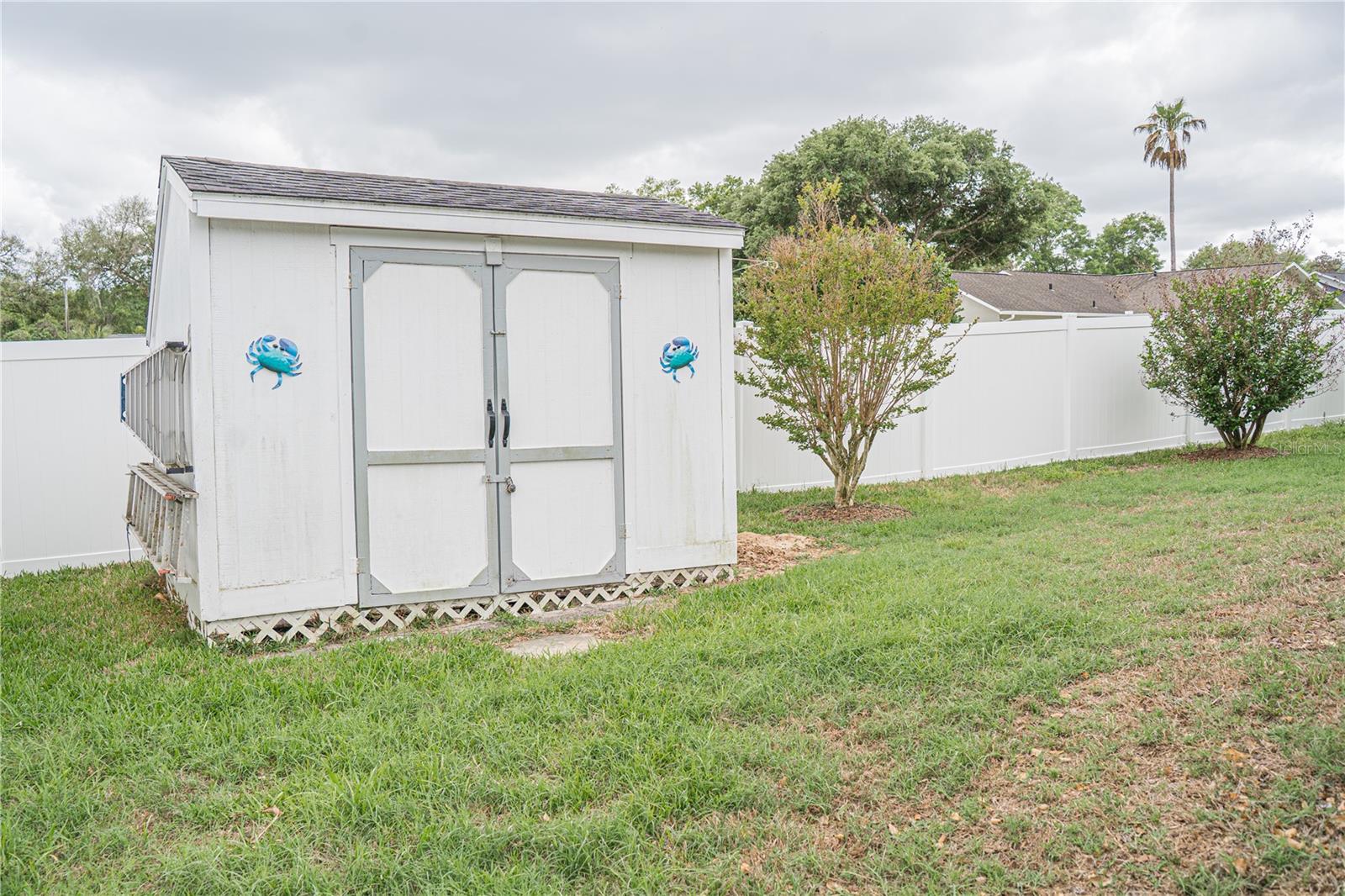 3850 SE 59TH PL, OCALA, FL, 34480