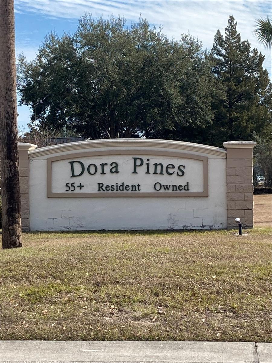 2470 KAREN DR, MOUNT DORA, FL, 32757