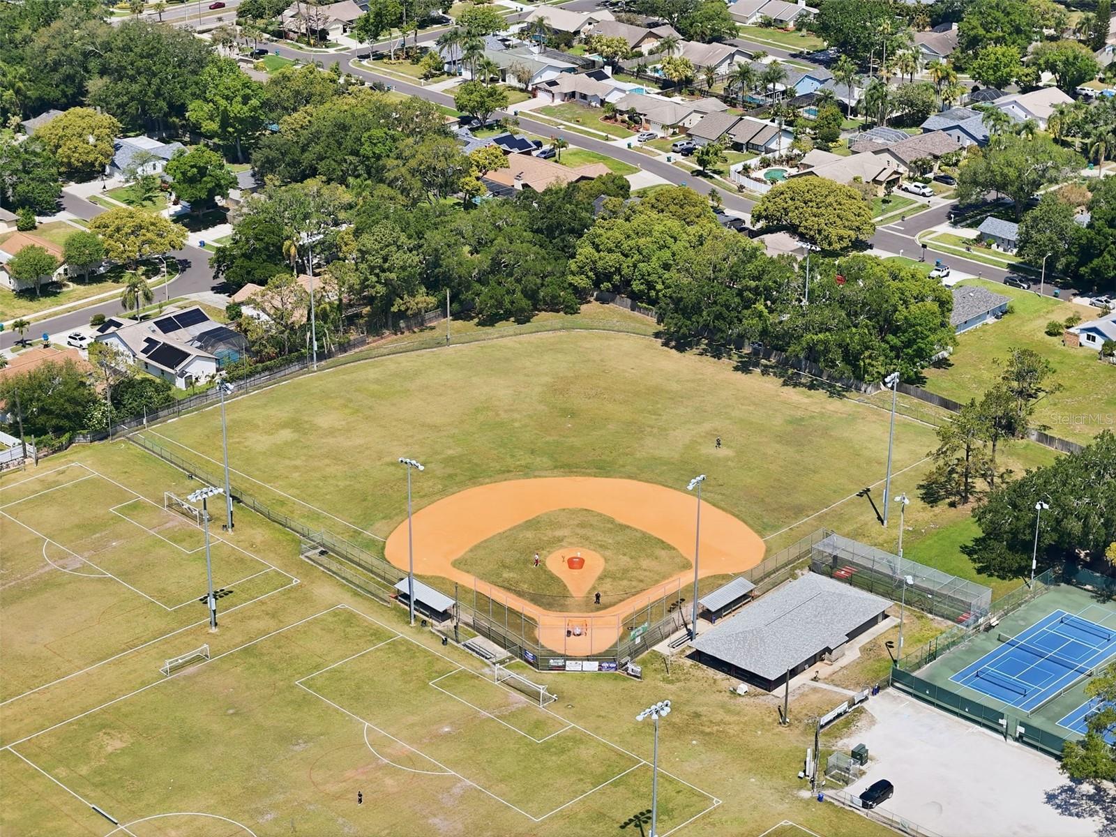 2314 LANDON TER, PALM HARBOR, FL, 34683