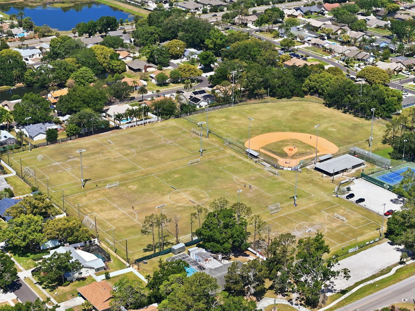 2314 LANDON TER, PALM HARBOR, FL, 34683