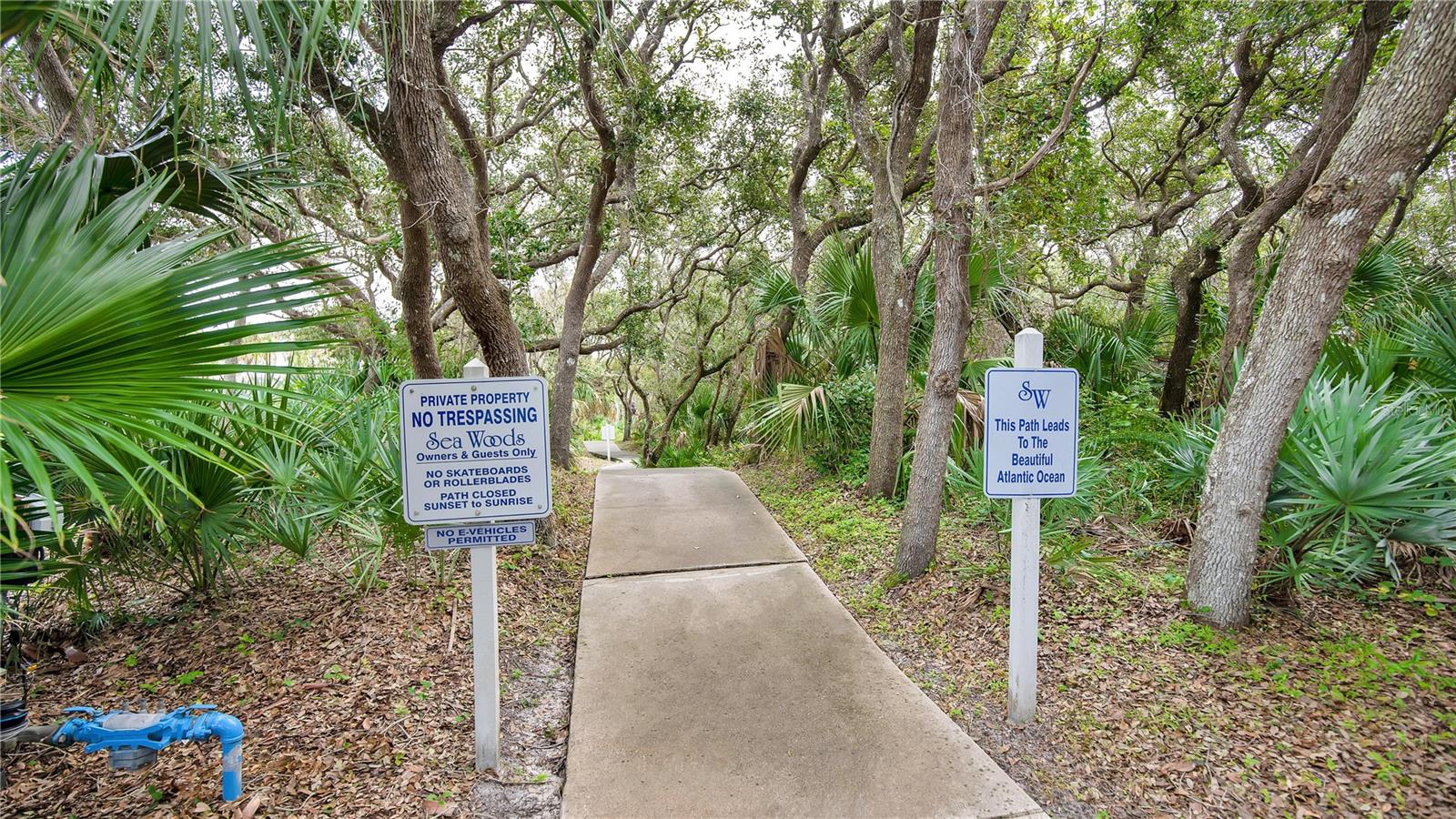 4310 GULL CV, NEW SMYRNA BEACH, FL, 32169