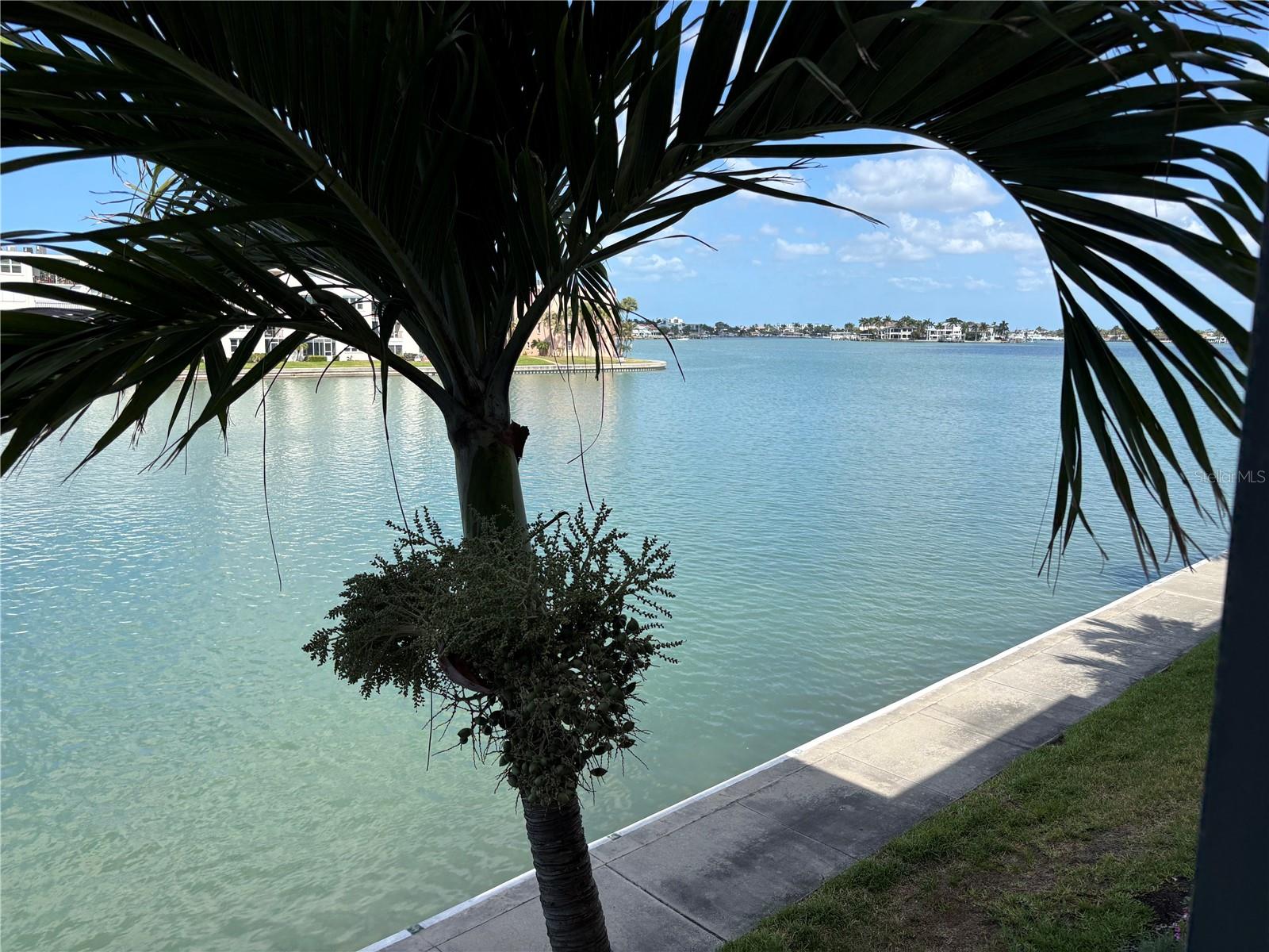 7540 BAY ISLAND DR S #253, SOUTH PASADENA, FL, 33707
