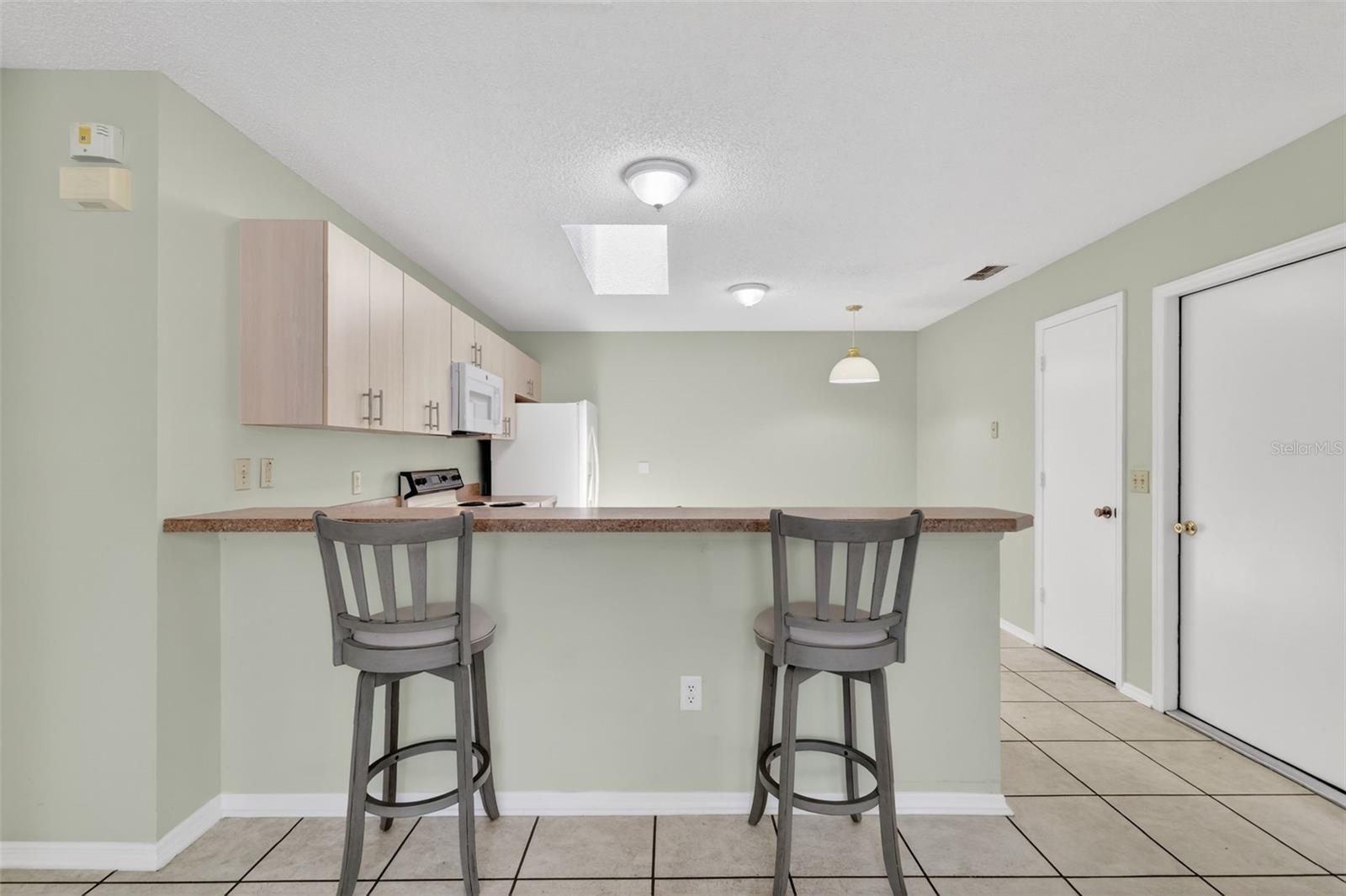 2149 ESCOBAR AVE, THE VILLAGES, FL, 32159