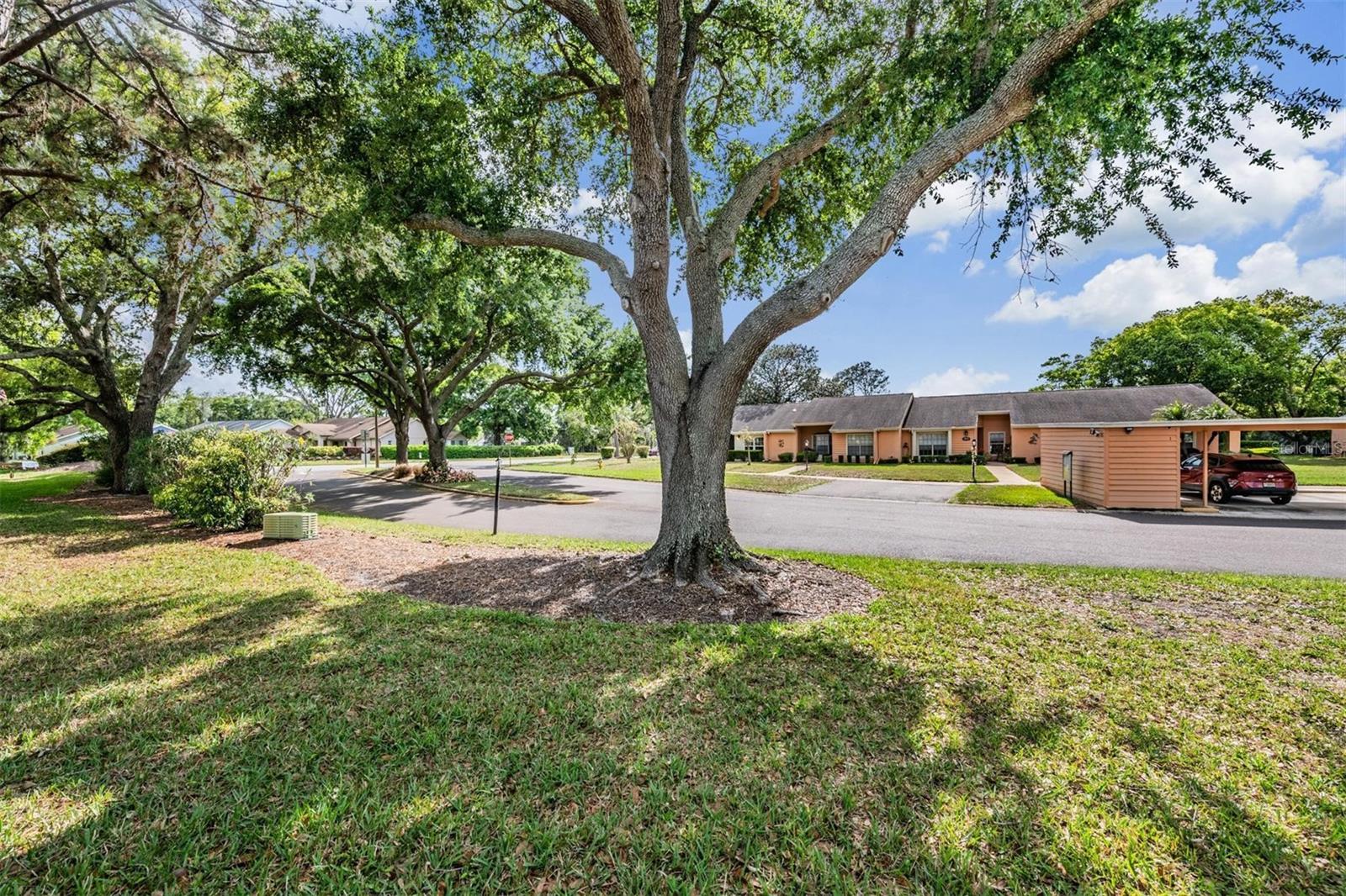 9302 TROWBRIDGE CT, NEW PORT RICHEY, FL, 34655