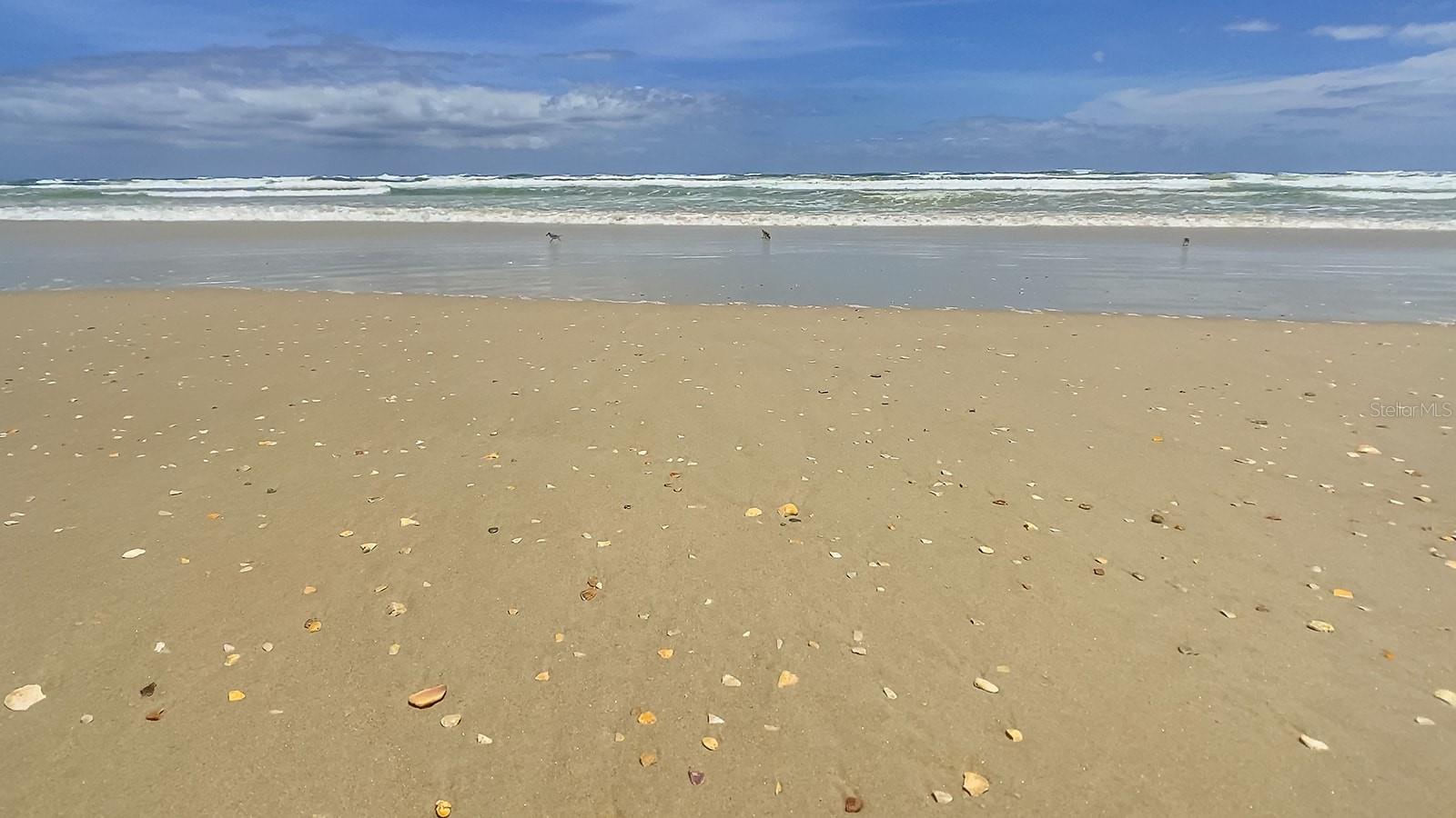 4501 S ATLANTIC AVE #209, NEW SMYRNA BEACH, FL, 32169