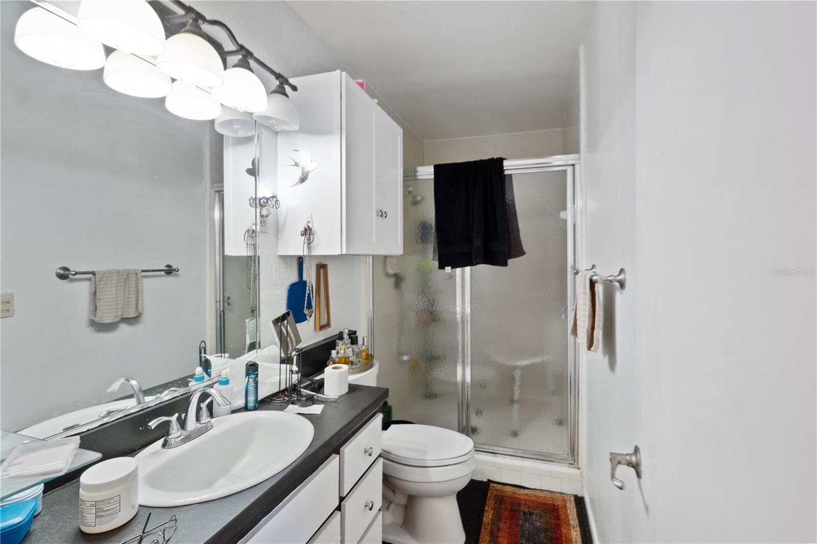 270 W MCCLENDON ST, LADY LAKE, FL, 32159
