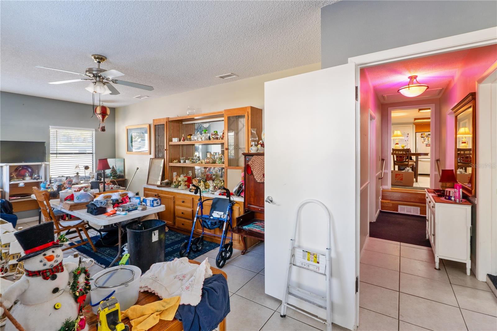 270 W MCCLENDON ST, LADY LAKE, FL, 32159