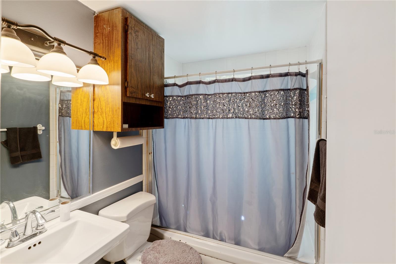 270 W MCCLENDON ST, LADY LAKE, FL, 32159