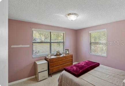270 W MCCLENDON ST, LADY LAKE, FL, 32159