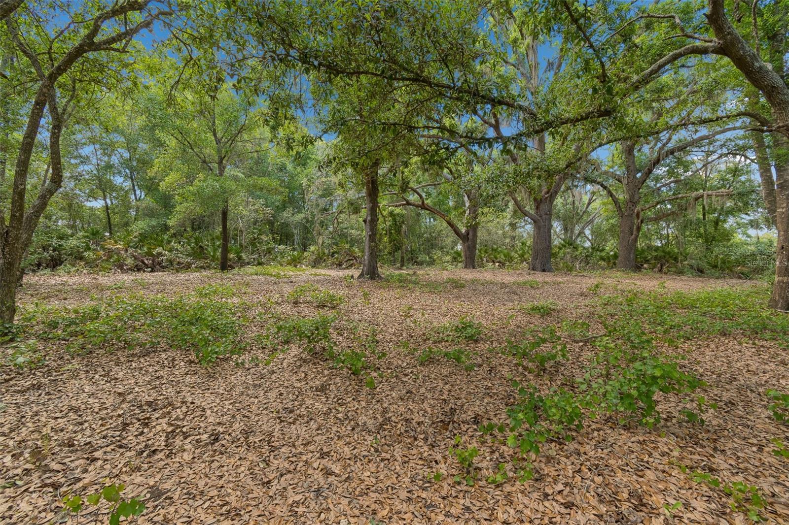 17001 MIDAS LN, LUTZ, FL, 33549