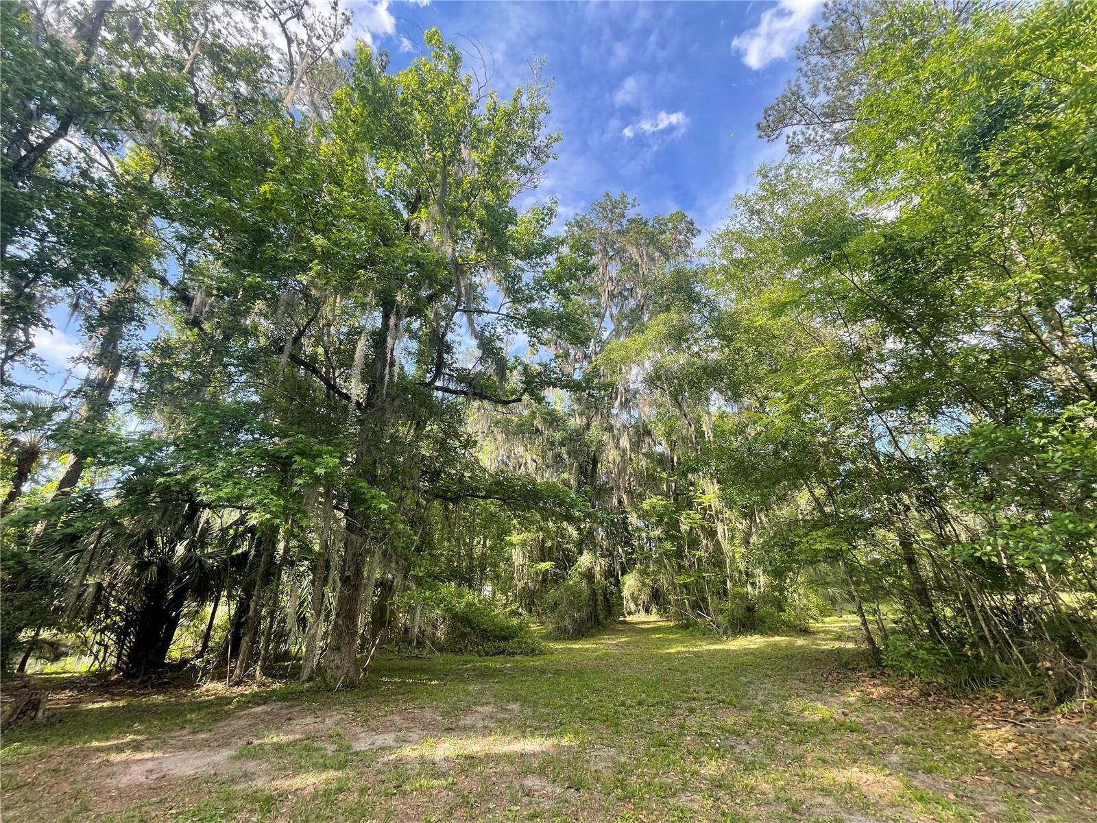 TBD NW 46TH ST, OCALA, FL, 34482