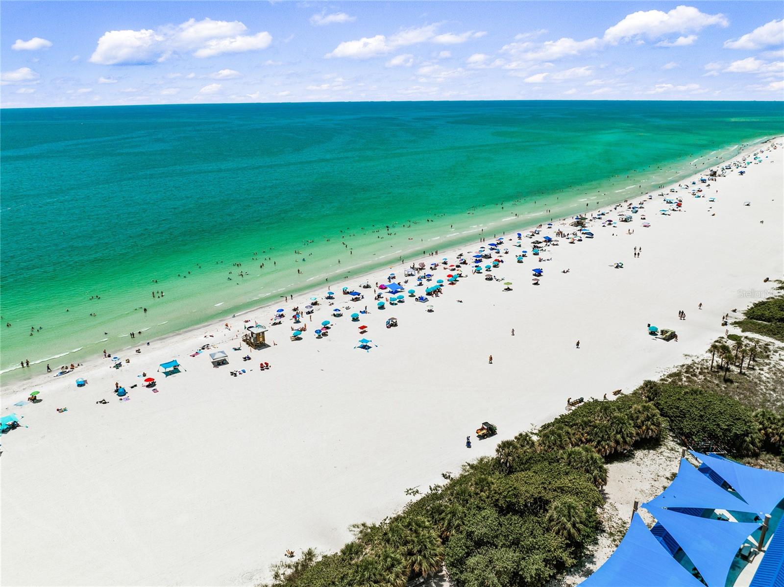209 GARFIELD DR, SARASOTA, FL, 34236