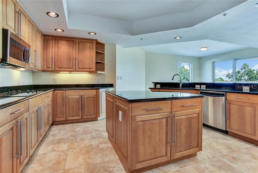 3507 BAYSHORE BLVD #303, TAMPA, FL, 33629