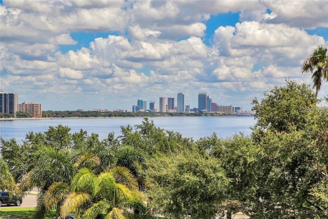 3507 BAYSHORE BLVD #303, TAMPA, FL, 33629