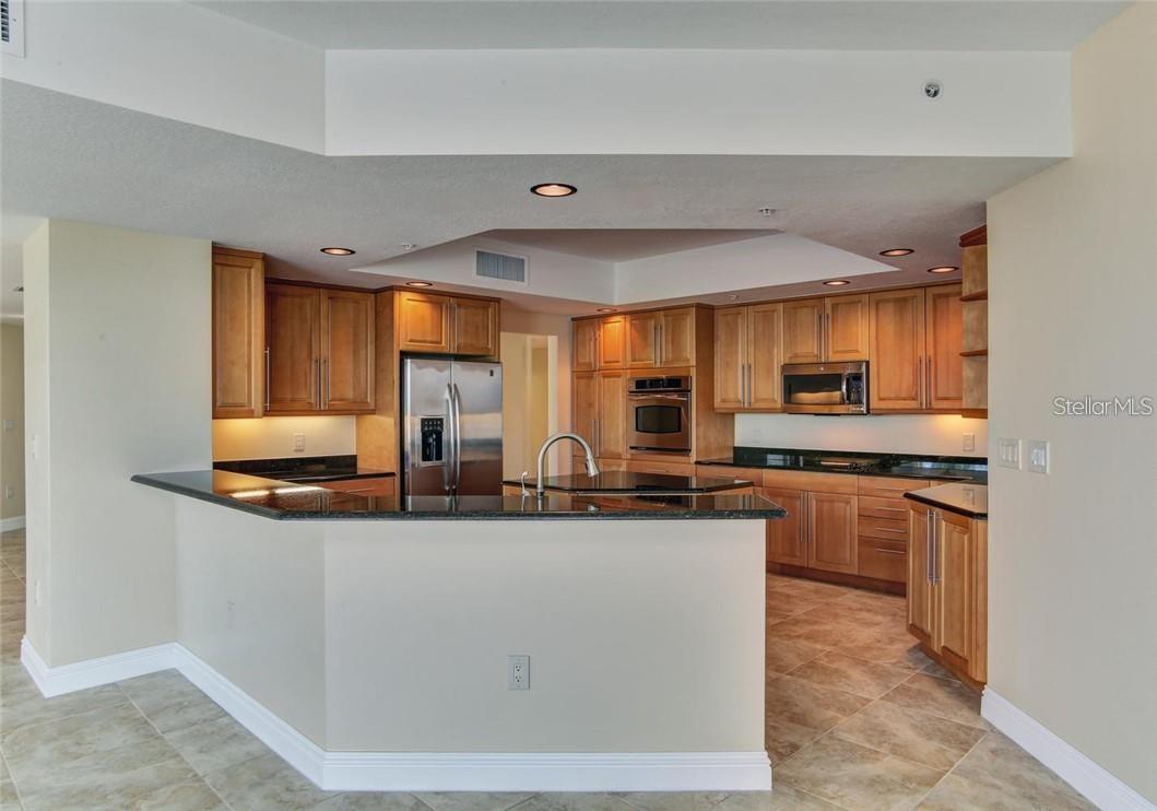 3507 BAYSHORE BLVD #303, TAMPA, FL, 33629