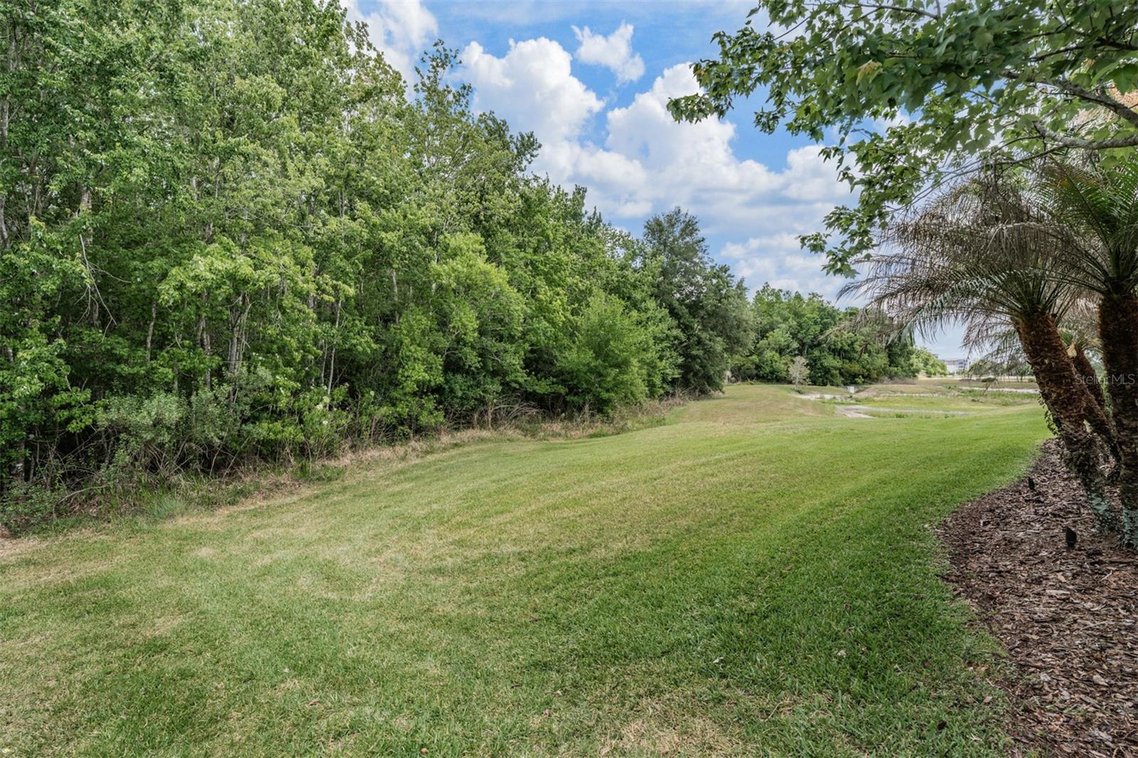 4557 VERMILLION SKY DR, WESLEY CHAPEL, FL, 33544