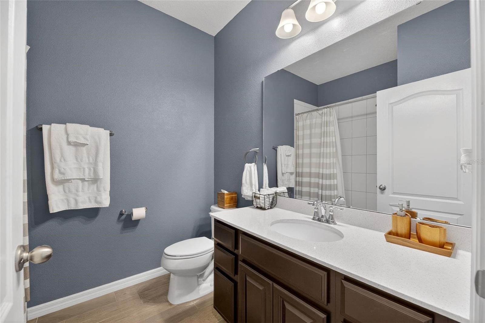 11113 SPRING POINT CIR, RIVERVIEW, FL, 33579