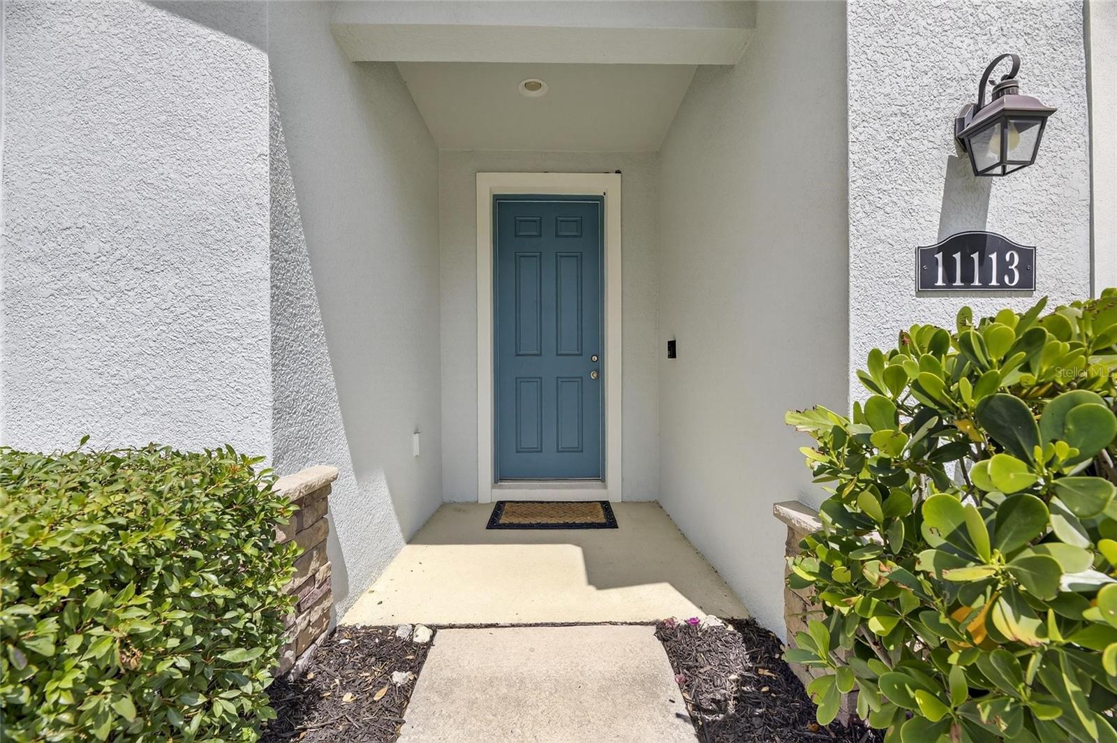 11113 SPRING POINT CIR, RIVERVIEW, FL, 33579