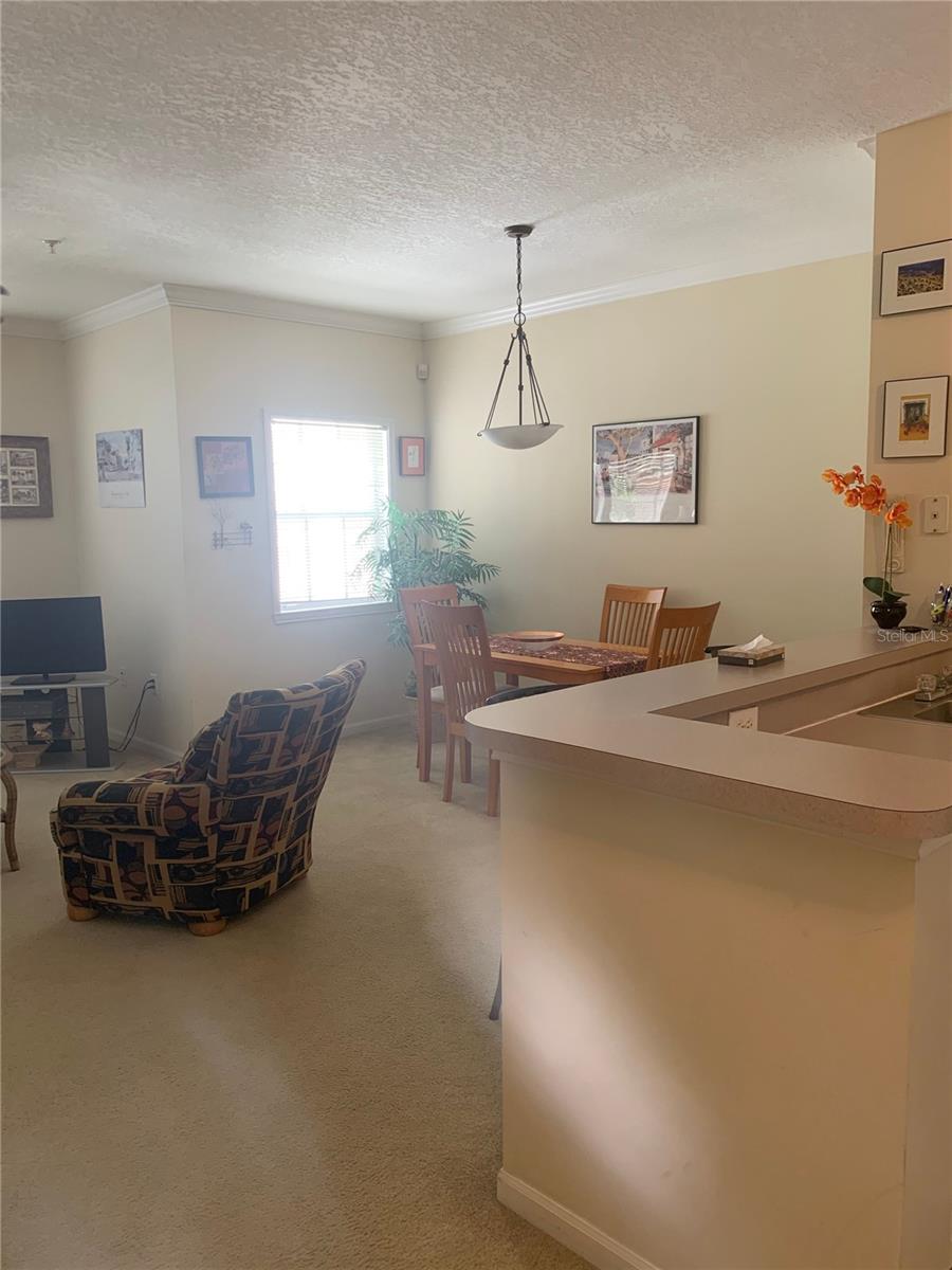 571 WATER ST #571, CELEBRATION, FL, 34747