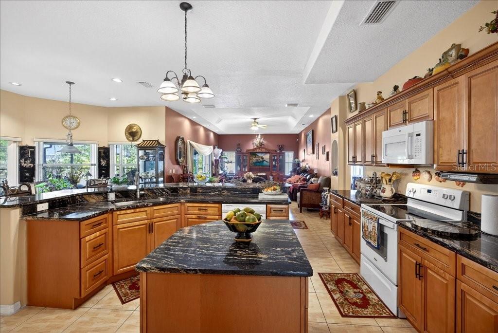 52 UPSHIRE PATH, PALM COAST, FL, 32164