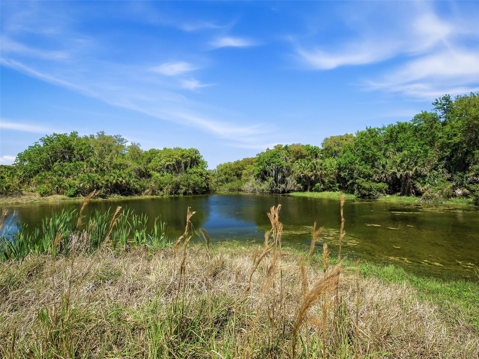 387 MARSH LANDING LOOP, OAK HILL, FL, 32759