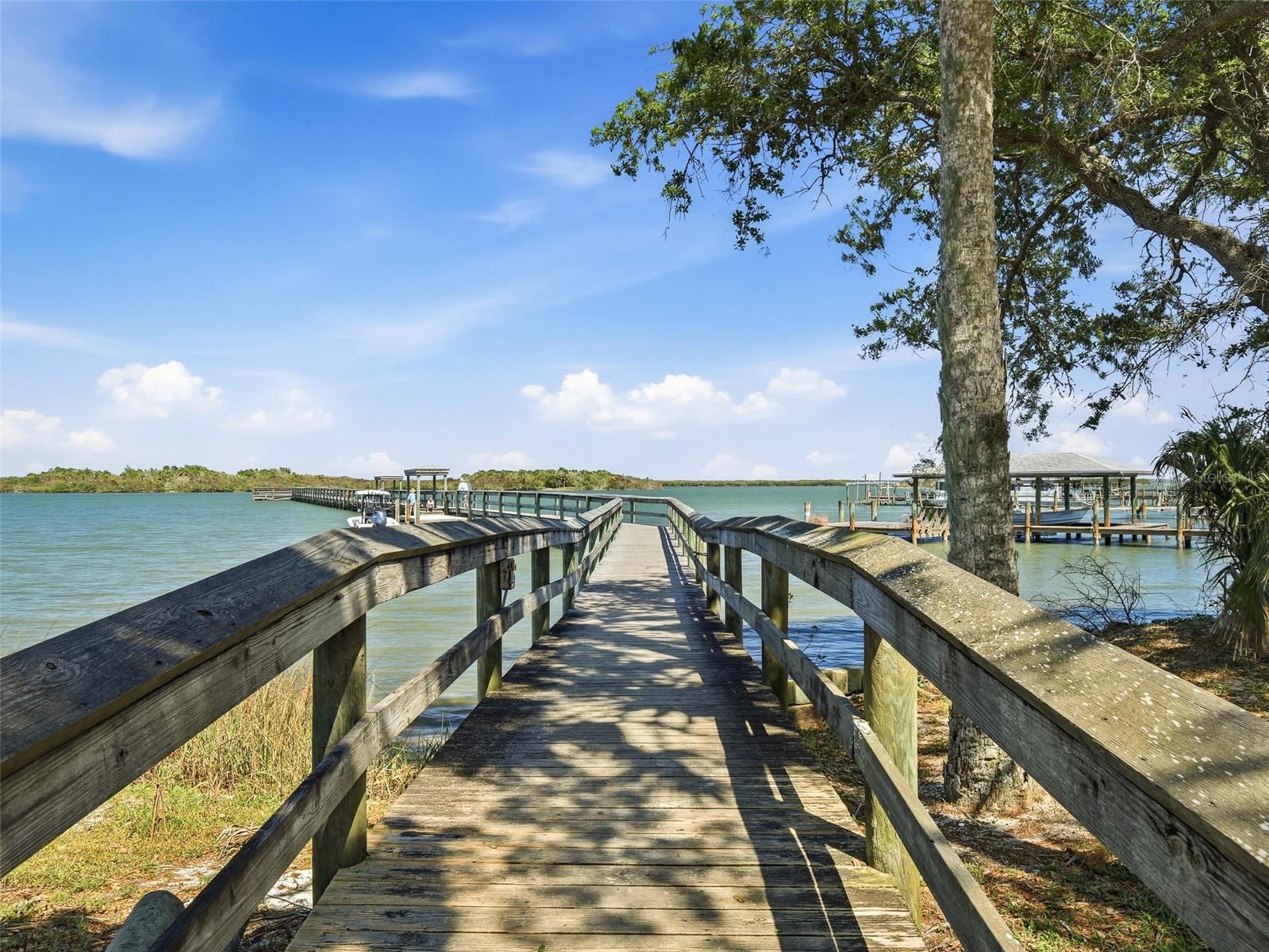 387 MARSH LANDING LOOP, OAK HILL, FL, 32759