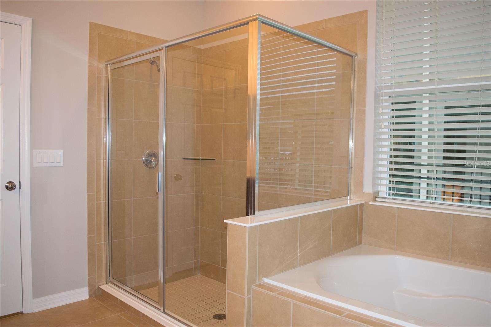 8112 SUMMERLAKE GROVES ST, WINTER GARDEN, FL, 34787