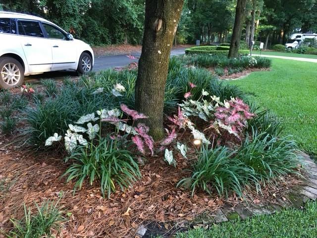 2006 NW 23RD ST, GAINESVILLE, FL, 32605