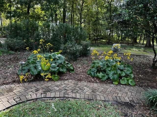 2006 NW 23RD ST, GAINESVILLE, FL, 32605