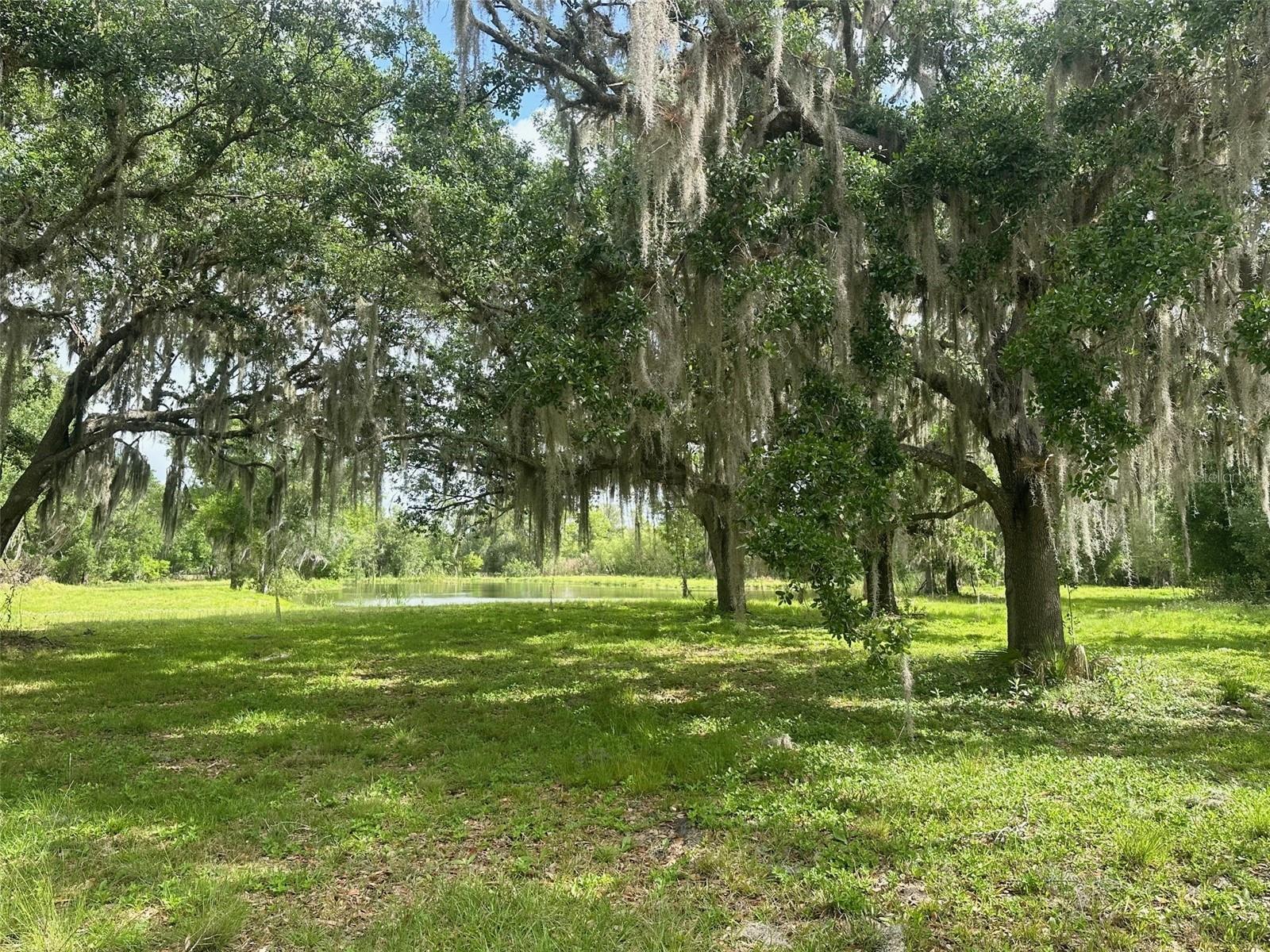 5134 SW OAKWOOD AVE, ARCADIA, FL, 34269
