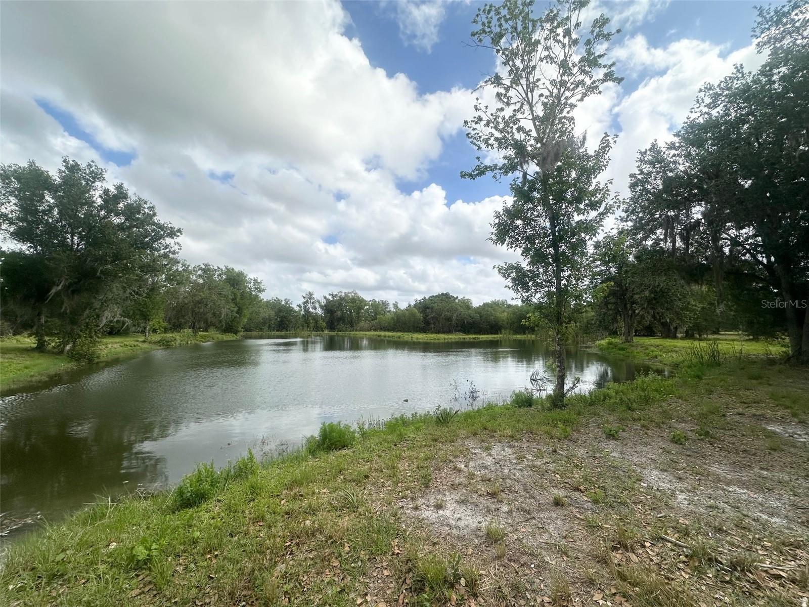 5134 SW OAKWOOD AVE, ARCADIA, FL, 34269