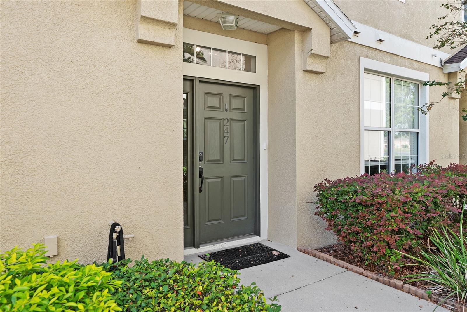 7001 INTERBAY BLVD #247, TAMPA, FL, 33616