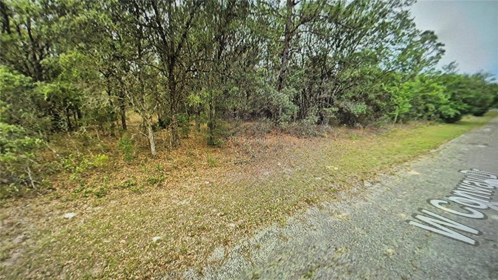 2084 W CONWAY DR, DUNNELLON, FL, 34434