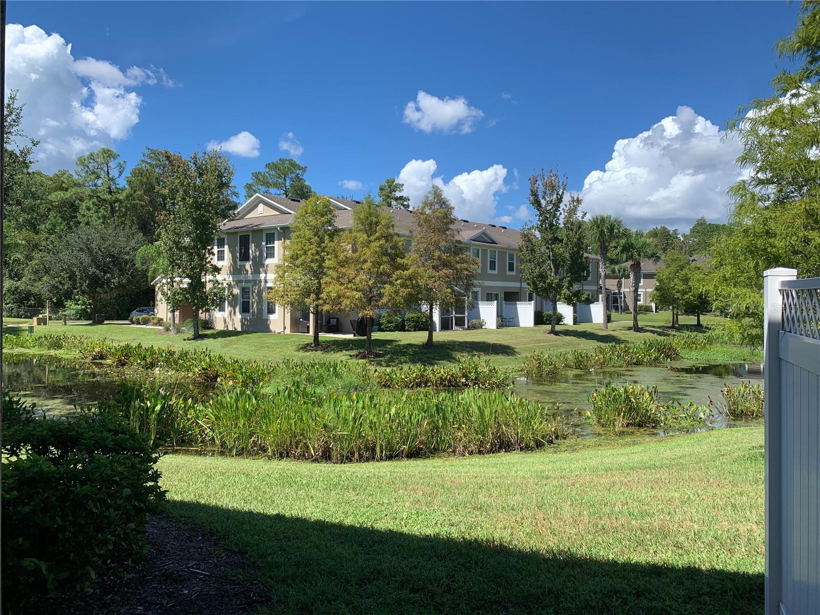 12530 SHIREBROOK CT, TAMPA, FL, 33626
