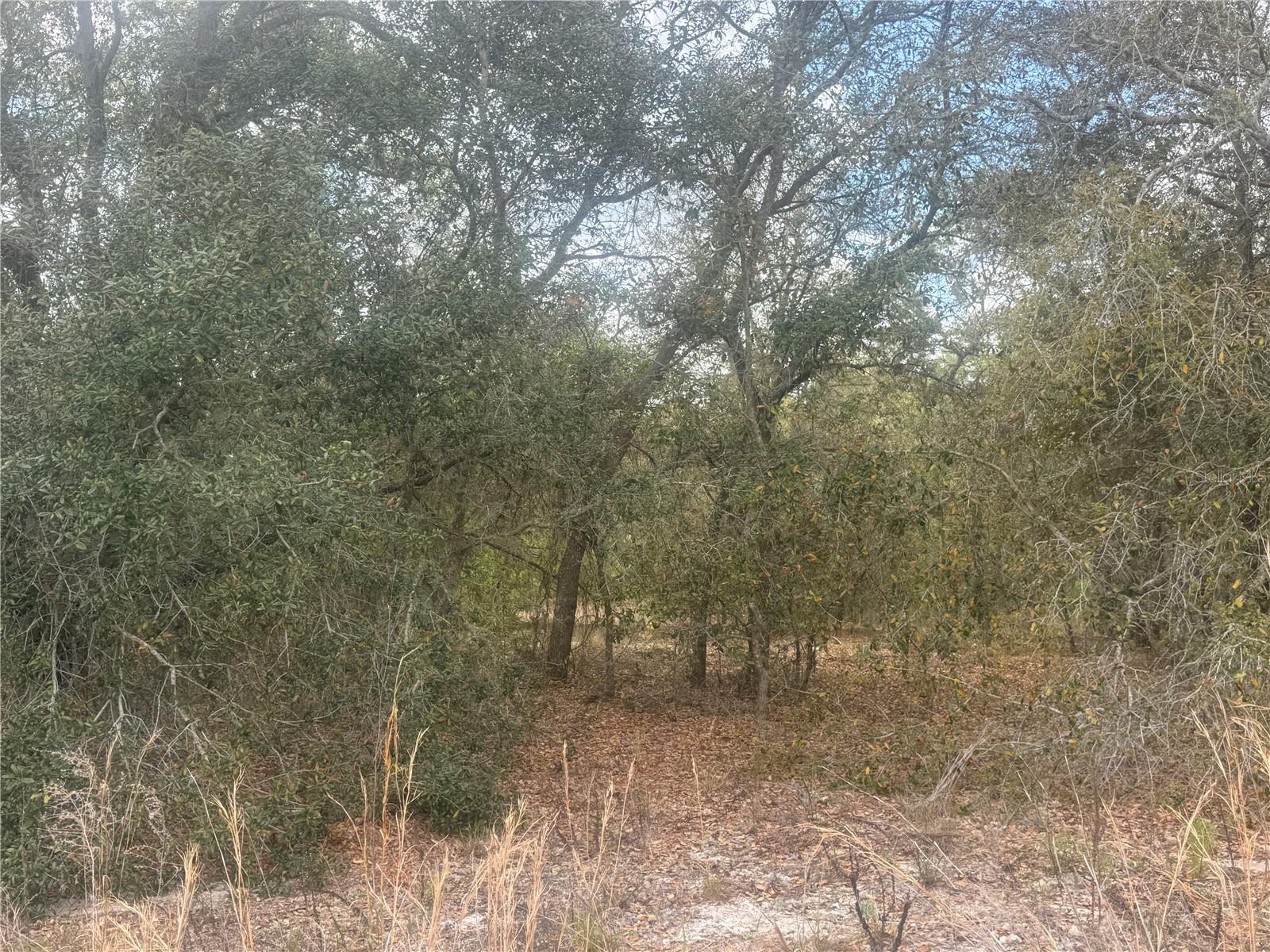 tbd SE 131ST TER, DUNNELLON, FL, 34431
