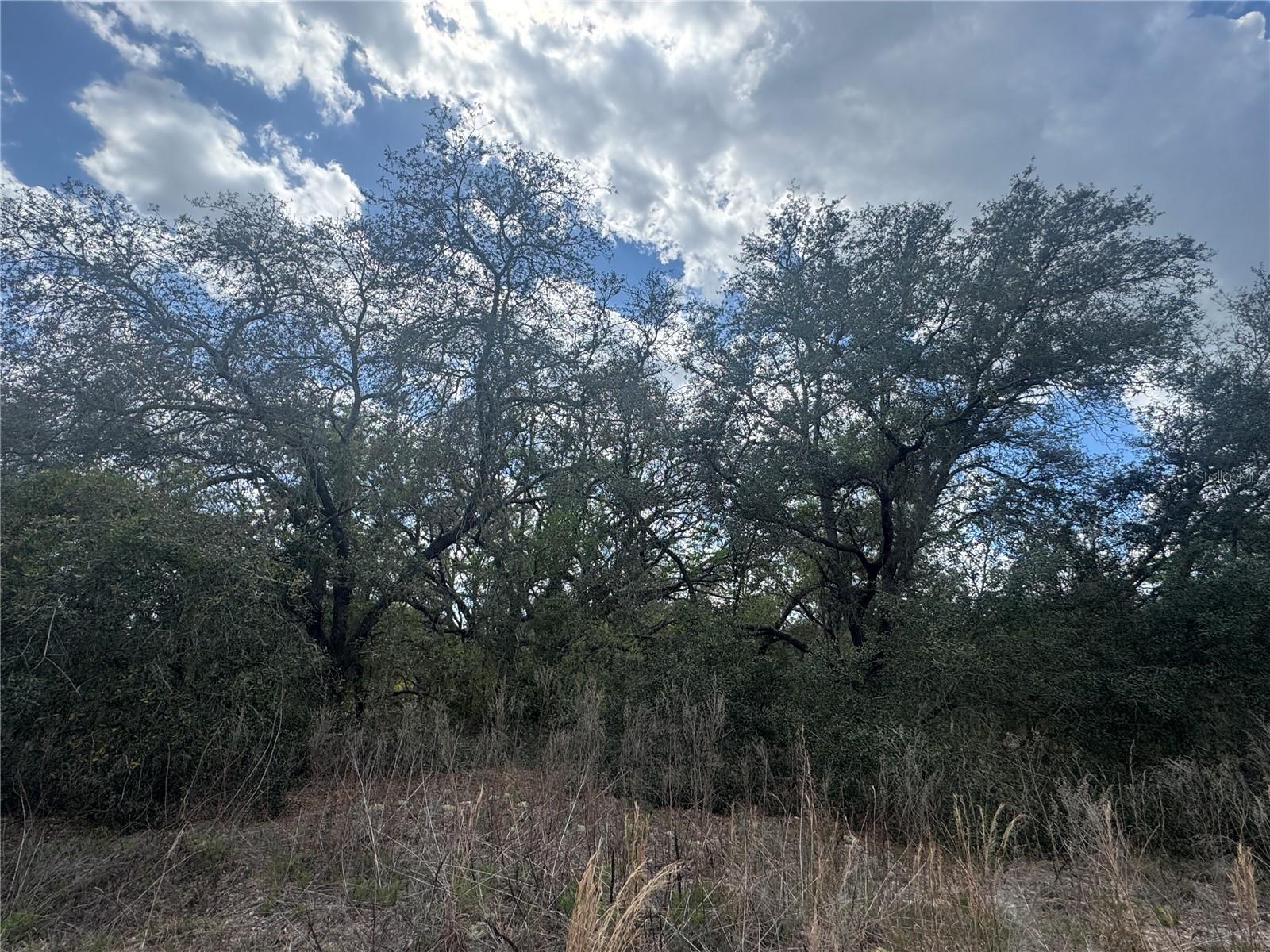 tbd SE 131ST TER, DUNNELLON, FL, 34431