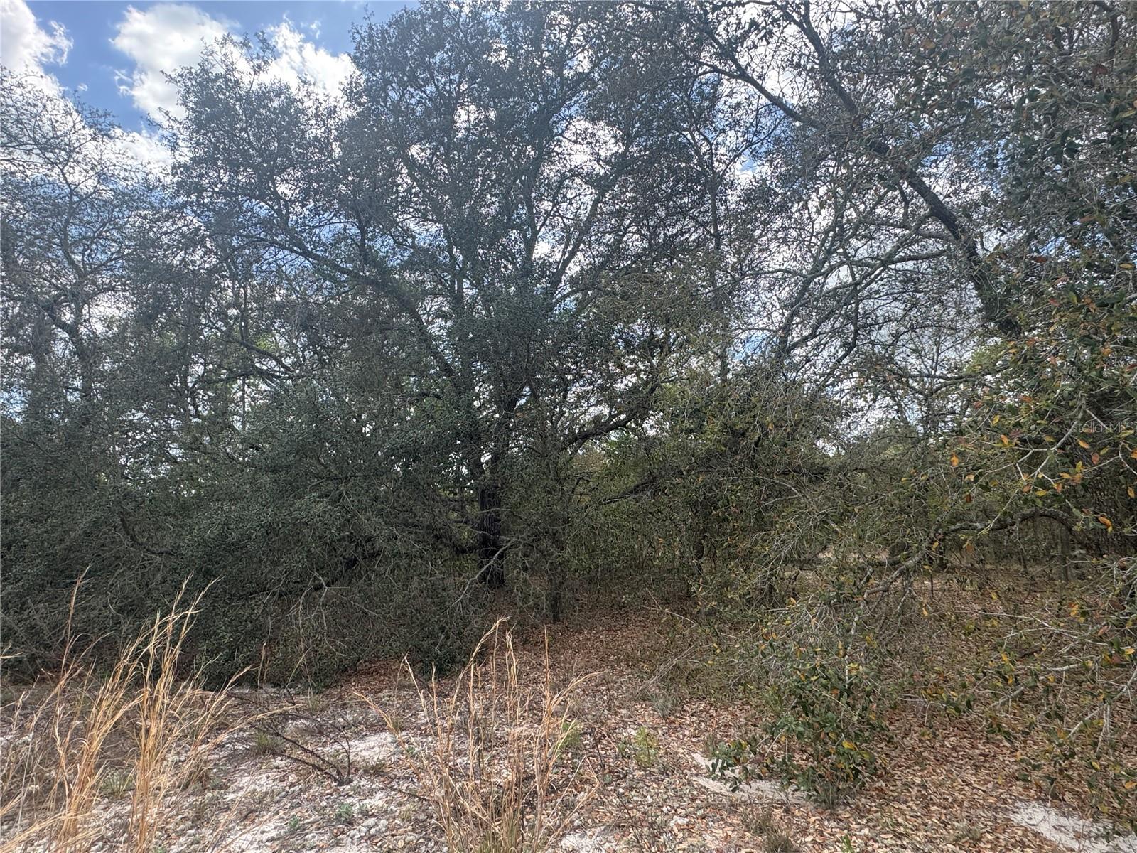 tbd SE 131ST TER, DUNNELLON, FL, 34431