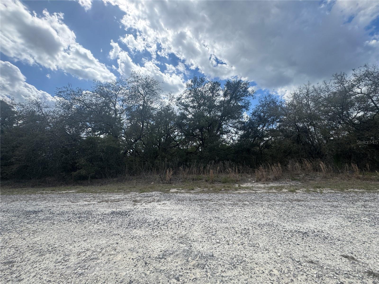 tbd SE 131ST TER, DUNNELLON, FL, 34431
