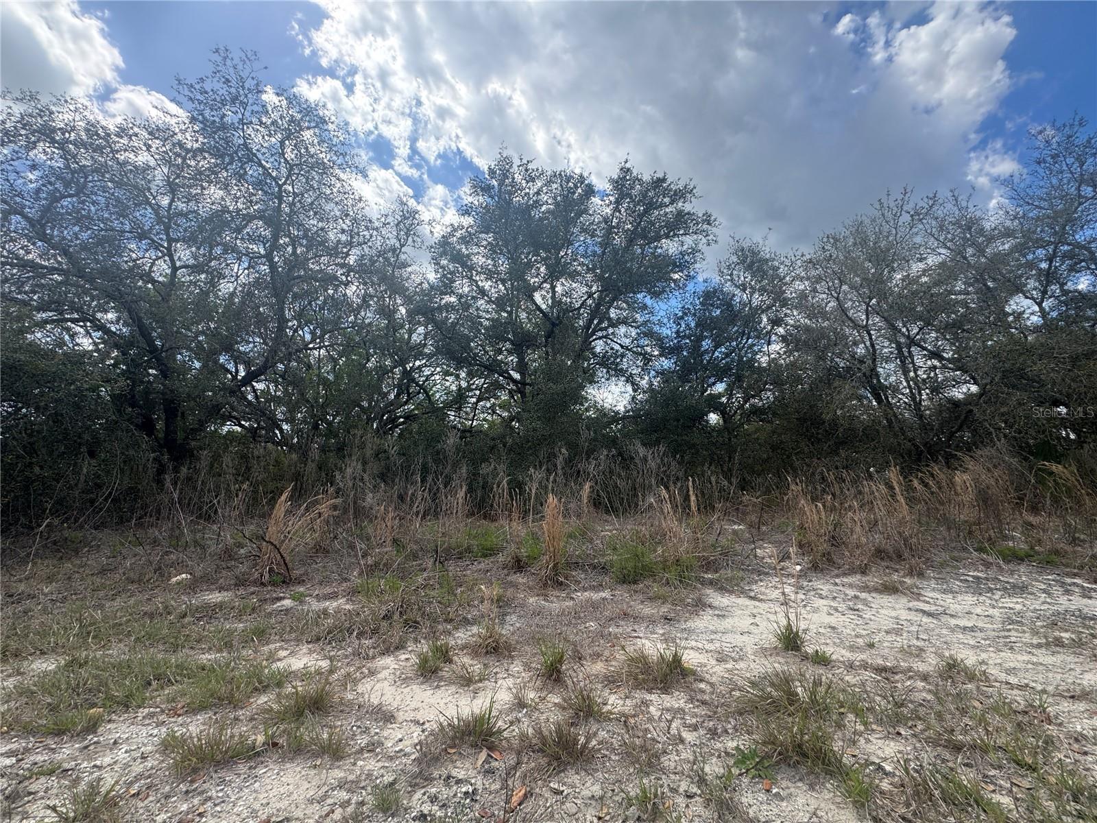 tbd SE 131ST TER, DUNNELLON, FL, 34431