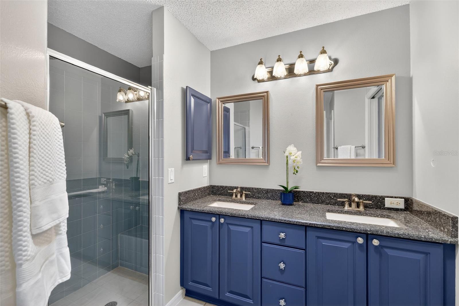 9172 SE 171ST DRAYTON PL, THE VILLAGES, FL, 32162
