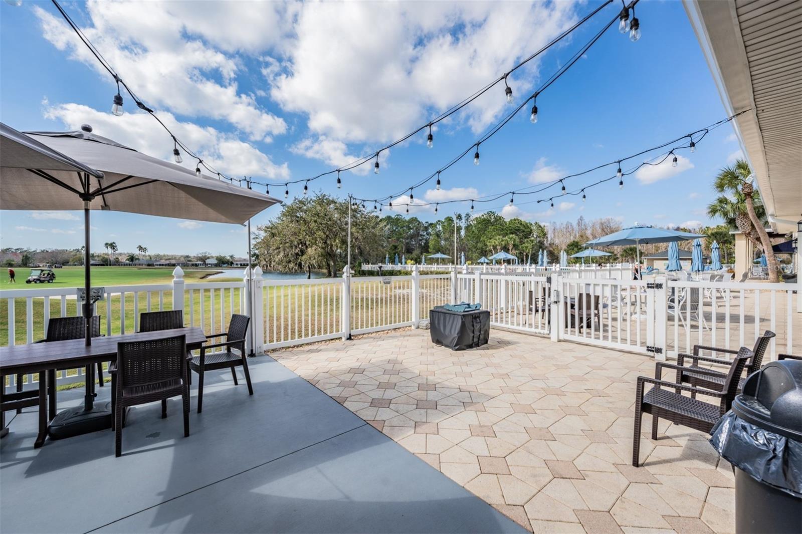 11204 COREY PAVIN LN, SAN ANTONIO, FL, 33576