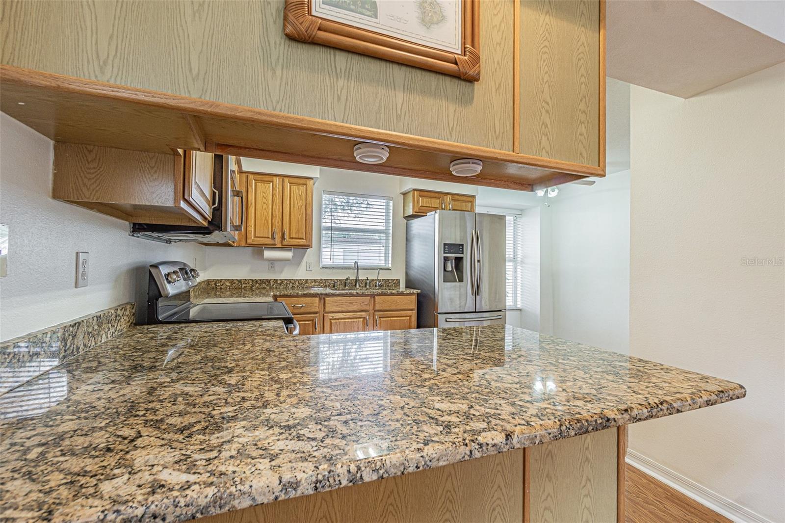11204 COREY PAVIN LN, SAN ANTONIO, FL, 33576