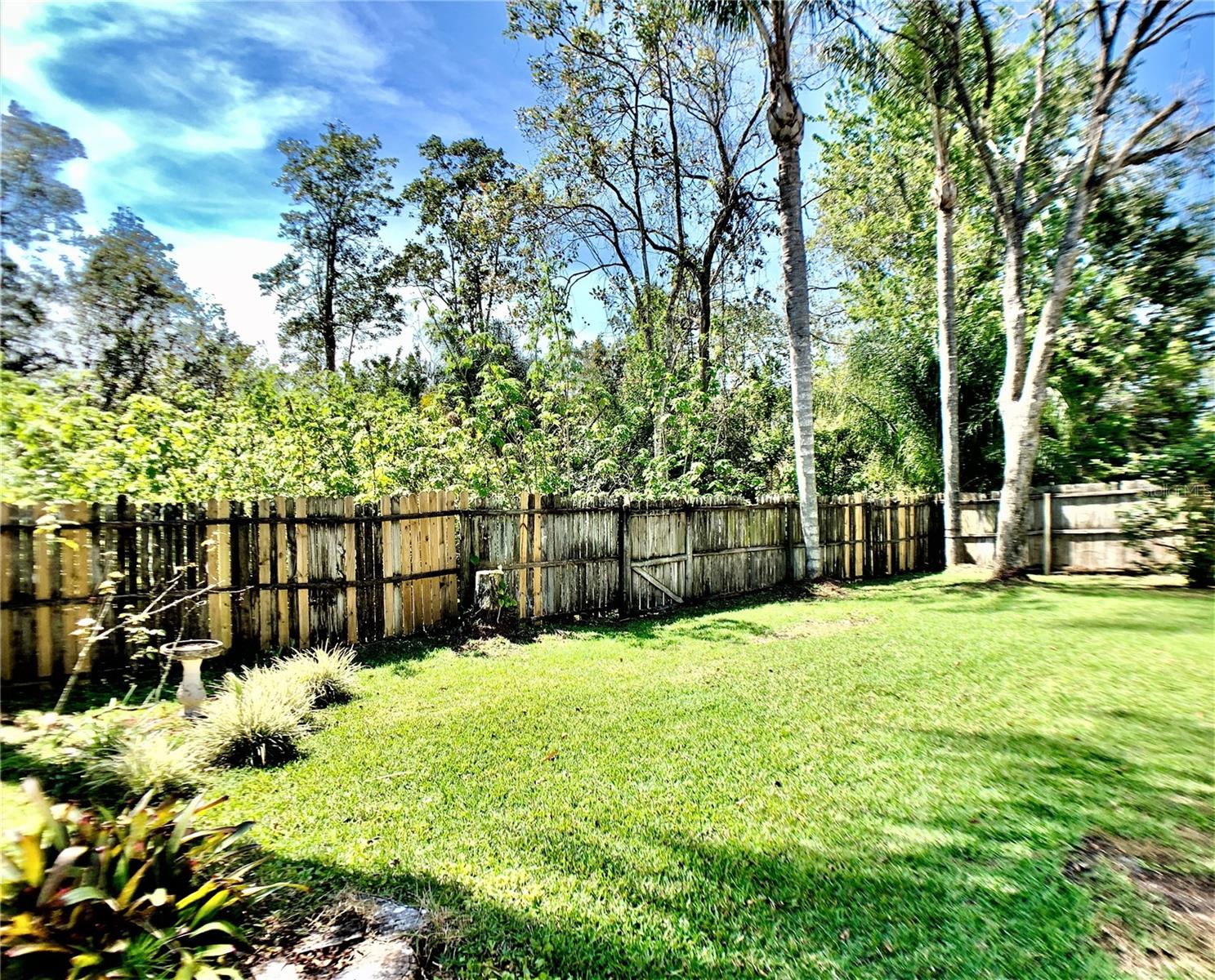 295 MORNING GLORY DR, LAKE MARY, FL, 32746