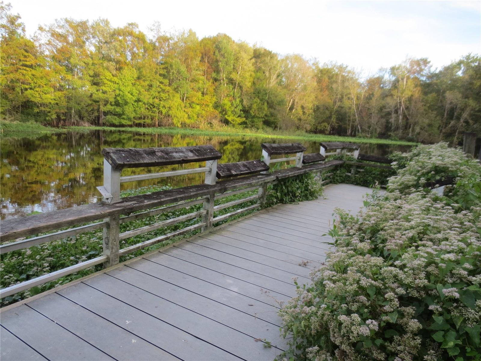 5790 SE 183RD TER, OCKLAWAHA, FL, 32179