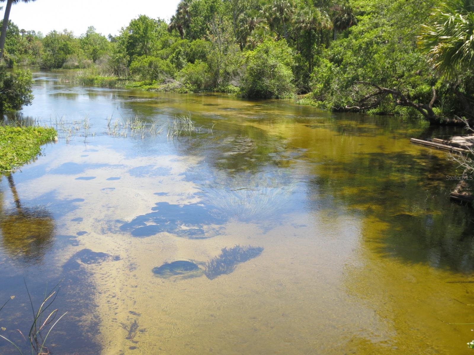 5790 SE 183RD TER, OCKLAWAHA, FL, 32179