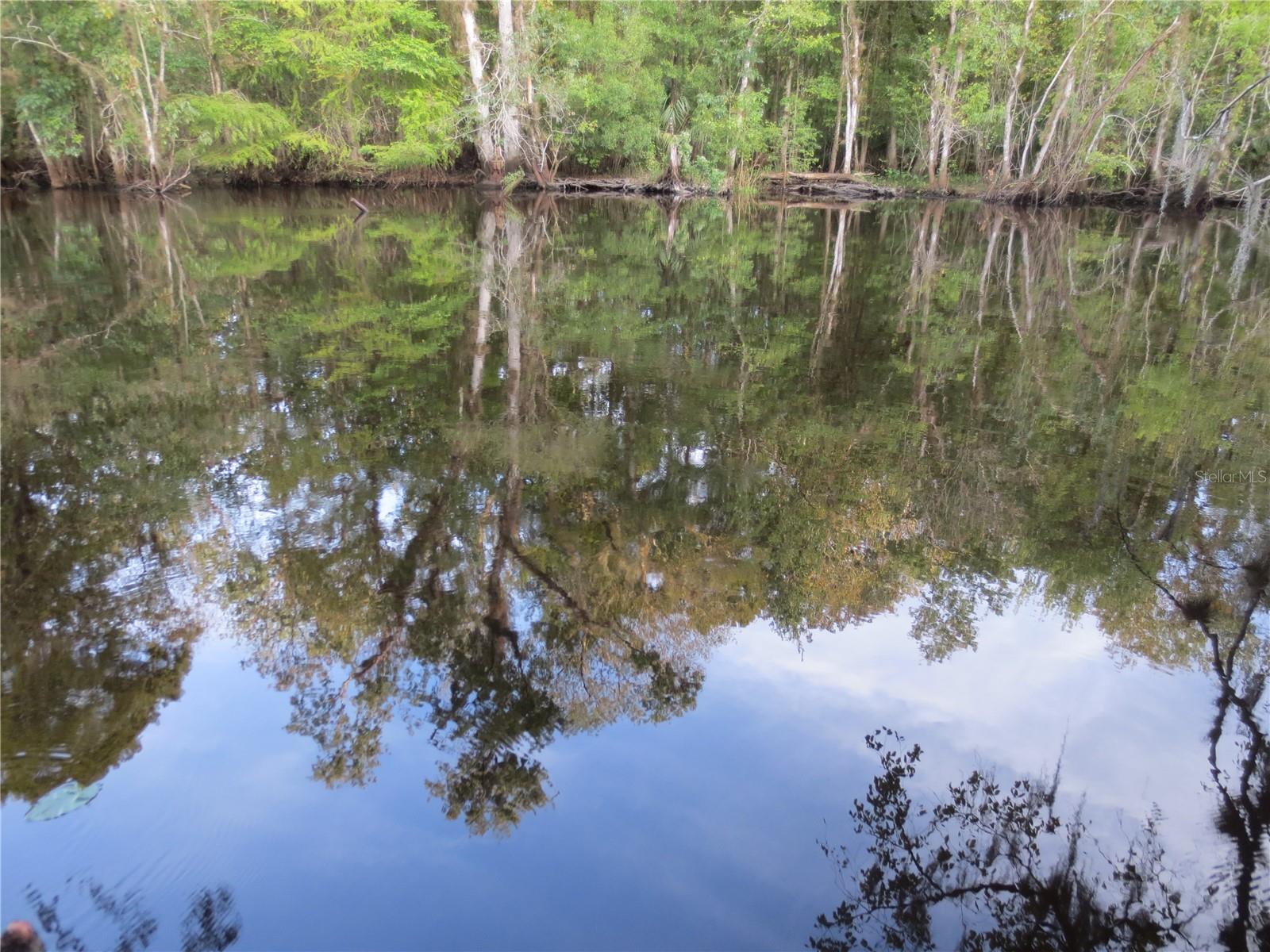 5790 SE 183RD TER, OCKLAWAHA, FL, 32179