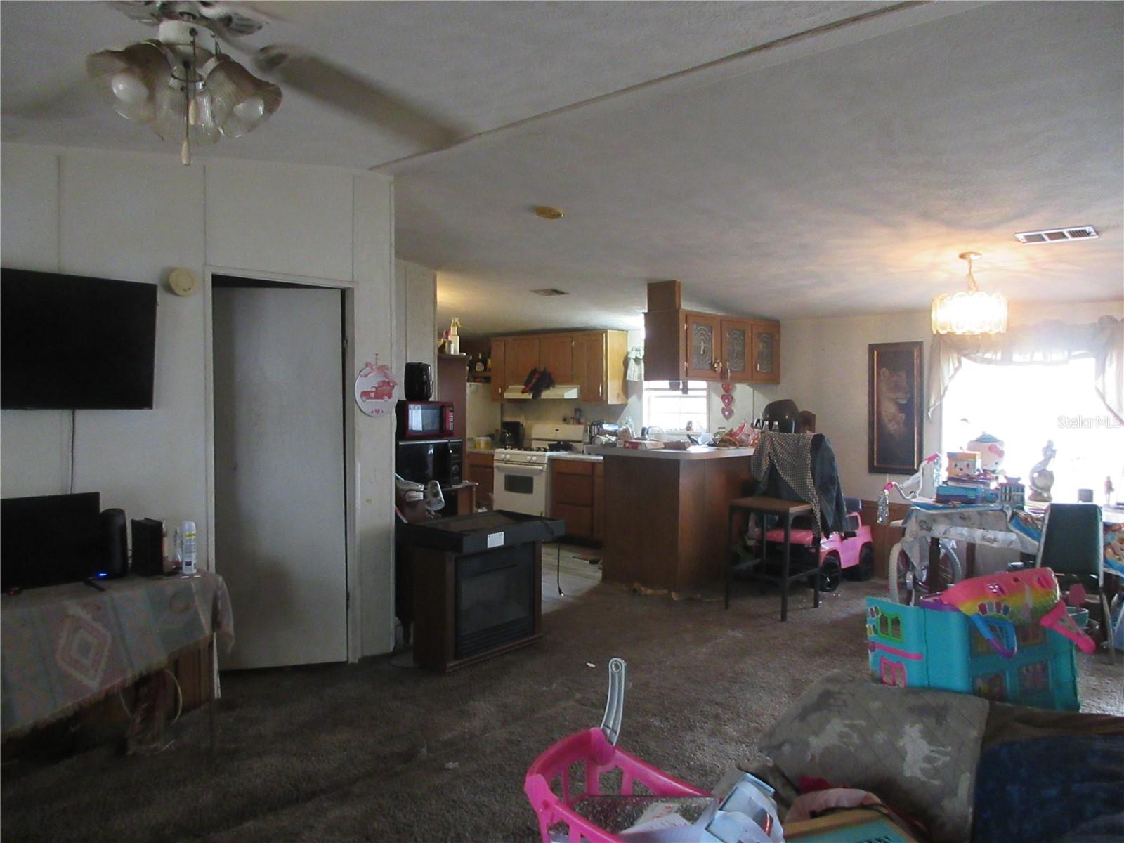 5790 SE 183RD TER, OCKLAWAHA, FL, 32179