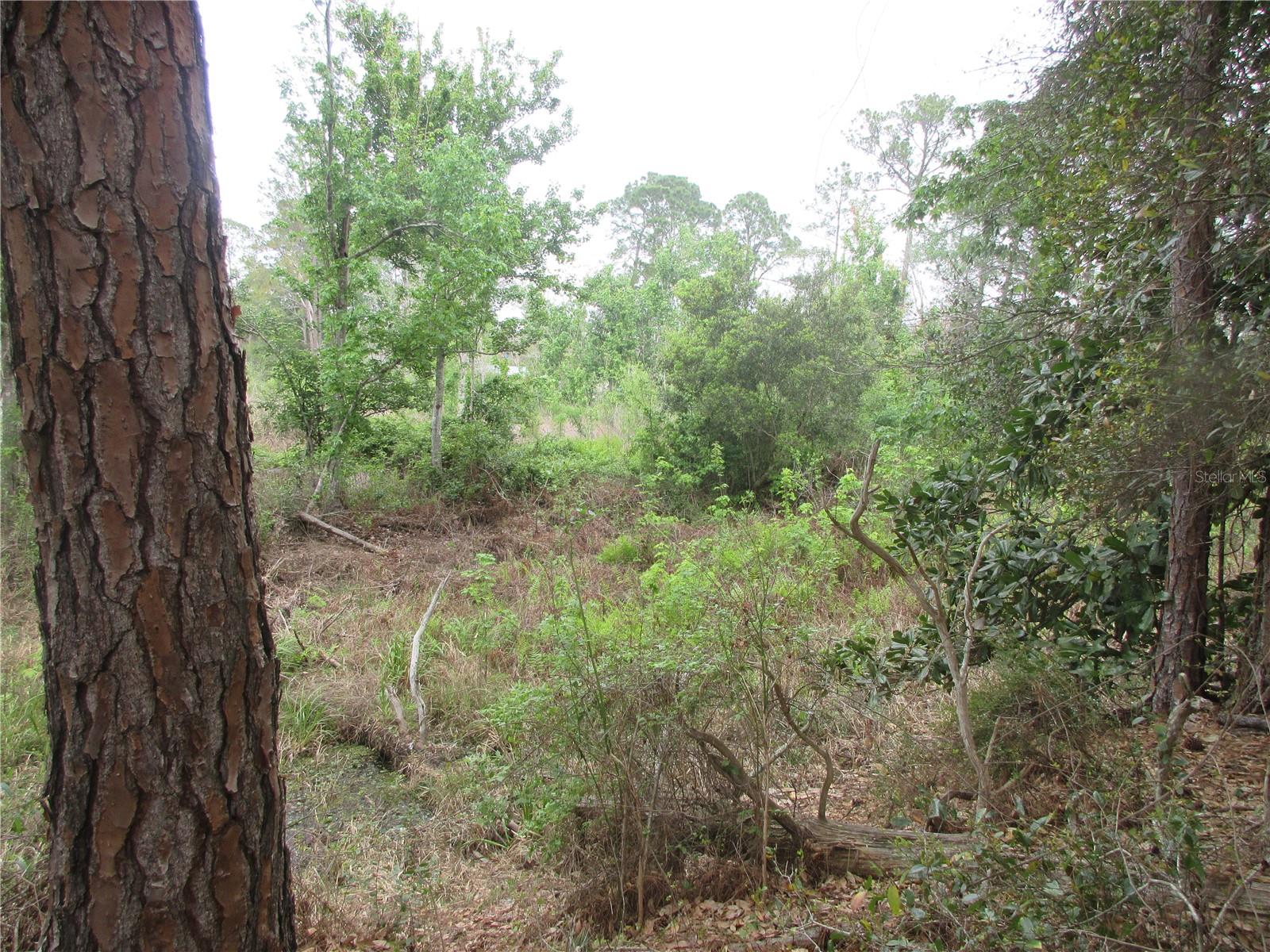 5790 SE 183RD TER, OCKLAWAHA, FL, 32179