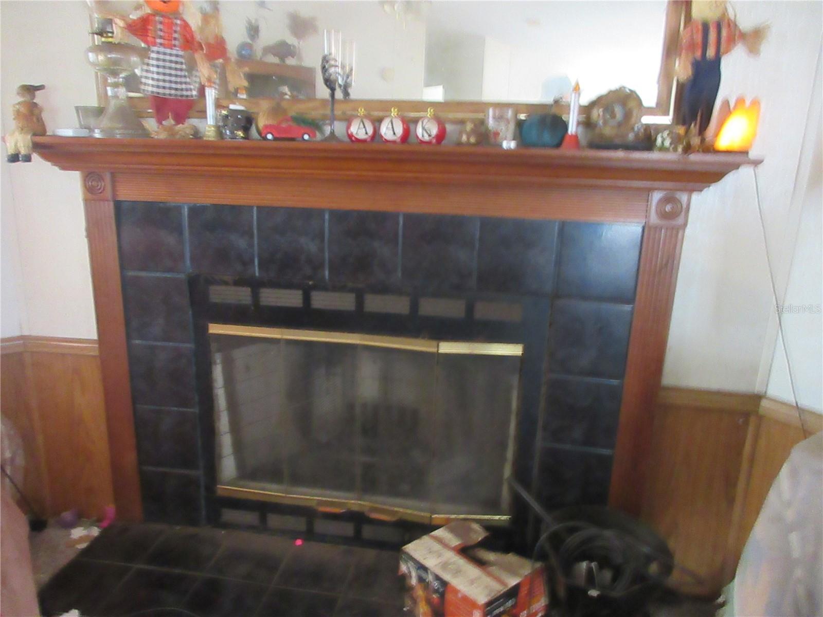 5790 SE 183RD TER, OCKLAWAHA, FL, 32179